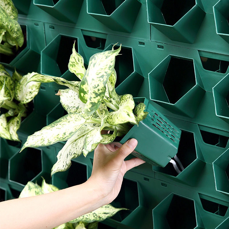 100 Cup Plant Wall Flower Pot Vertical Green Wall Container