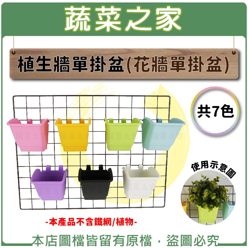 [Vegetable House 005B11] Plant Wall Single Hanging Pot (Flower Pot