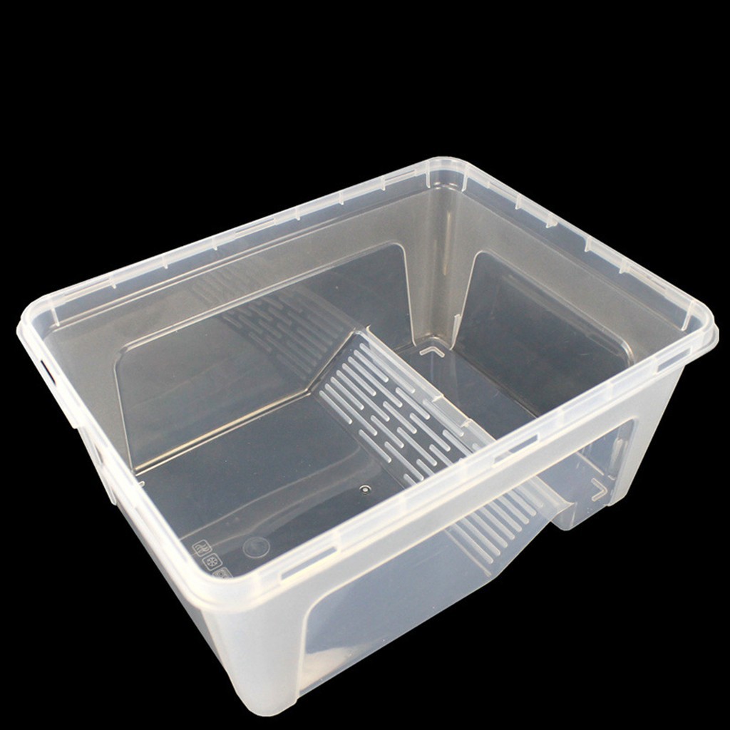 ☁HL Transparent Plastic Box Insect Reptile Breeding Feeding Tub Turtle Tank _WL Shopee Singapore