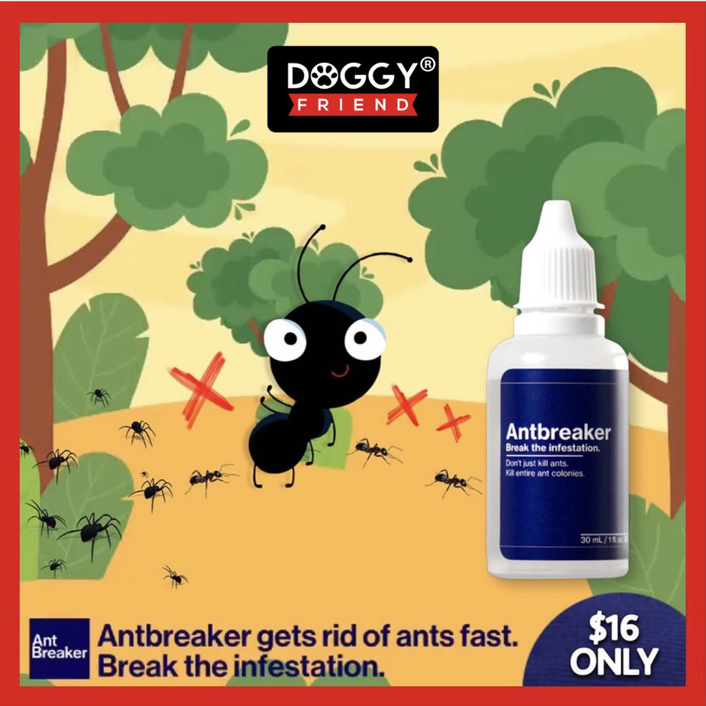 Antbreaker 30ml / PET SAFE Ant Killer / Ant Breaker / Liquid Ant Bait