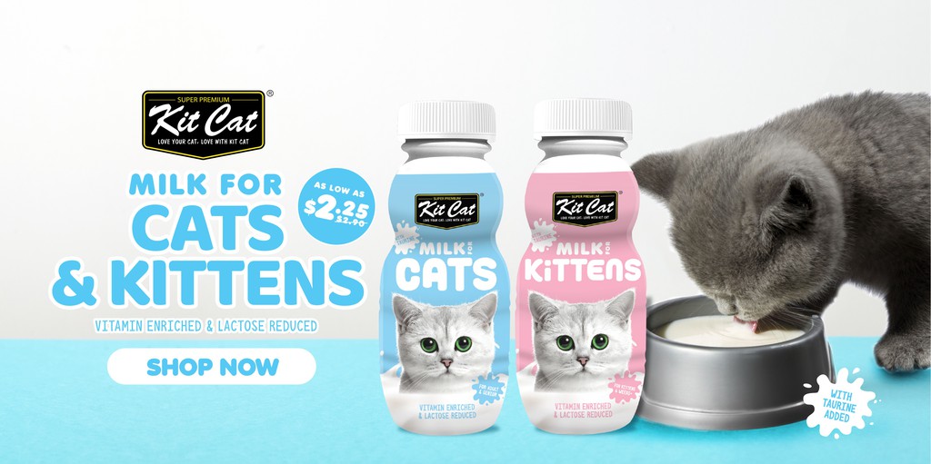 B2K Pet Care Official Store, Online Shop Shopee Singapore