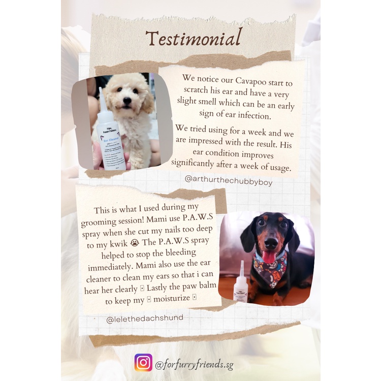 How Can I Moisturize My Dogs Ears