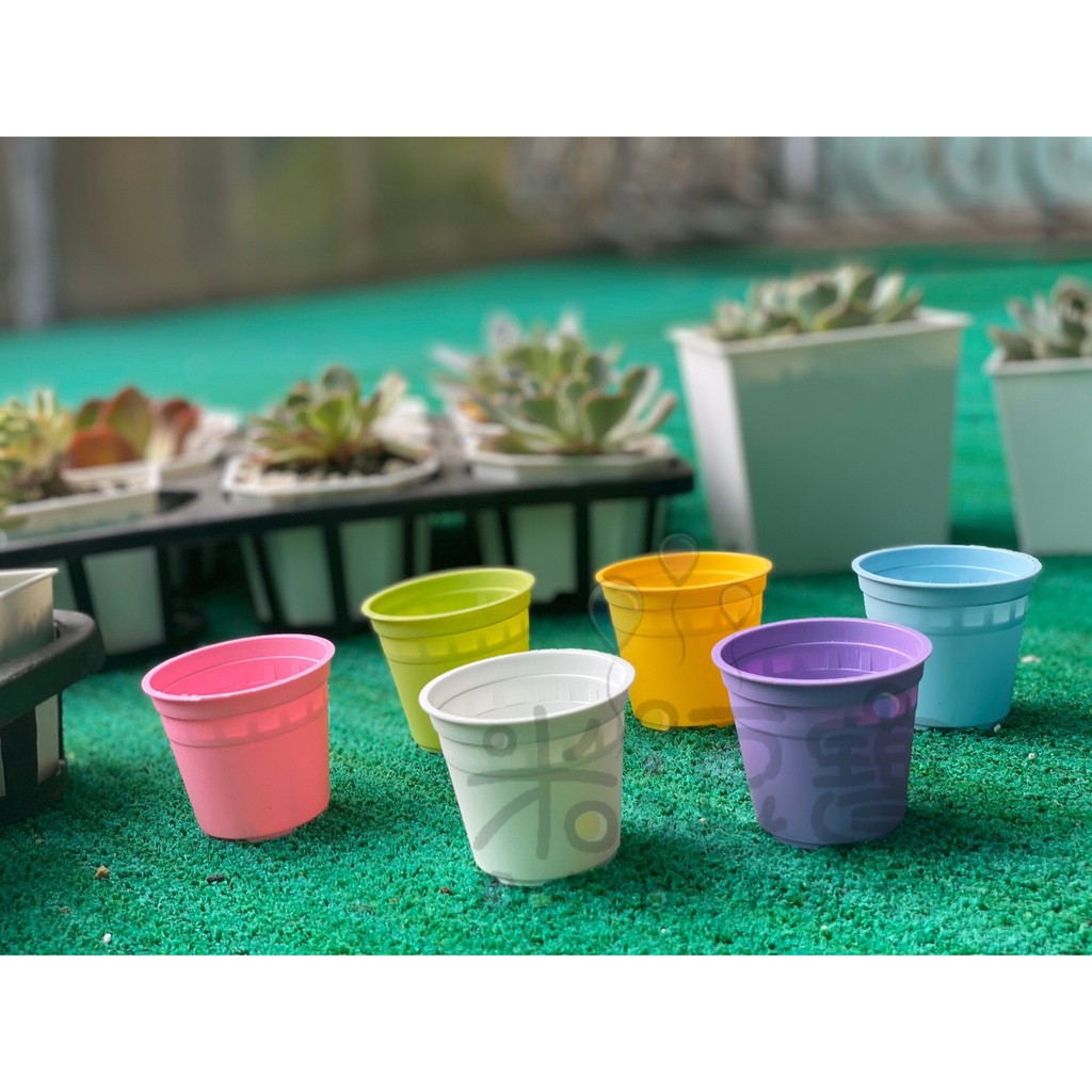 2 Inch Color Pots Plastic Flower Pots Round Pots Plastic Pots Small Plants Pots Succulent