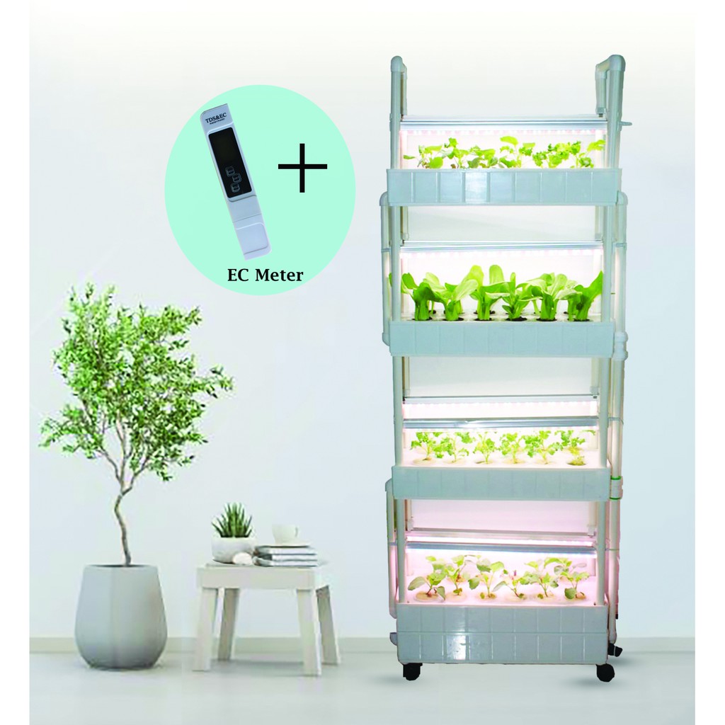 15 Best Hydroponic Systems in Singapore [2021] Best In Singapore
