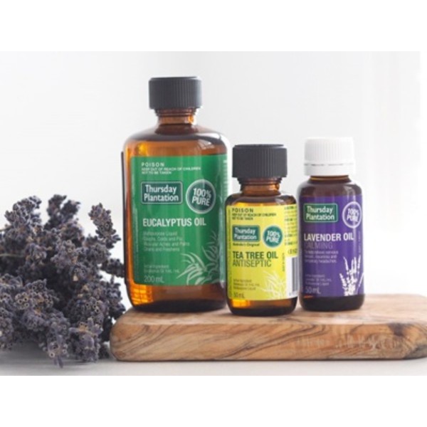 Lavender Oil / Tea Tree Oil / Eucalyptus Oil**100 Pure Oils Shopee