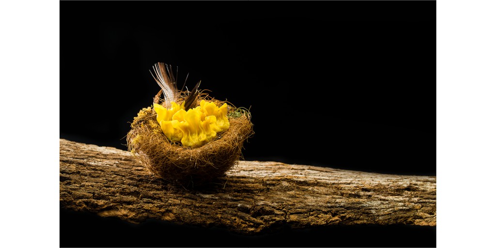 SMH Food Group Official Store, Online Shop Shopee Singapore