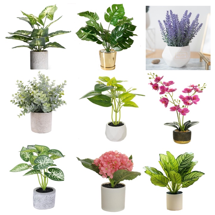 Small Potted Artificial Table Plants, Mini Fake Rosemary Plant Faux Flower Houseplants for Home