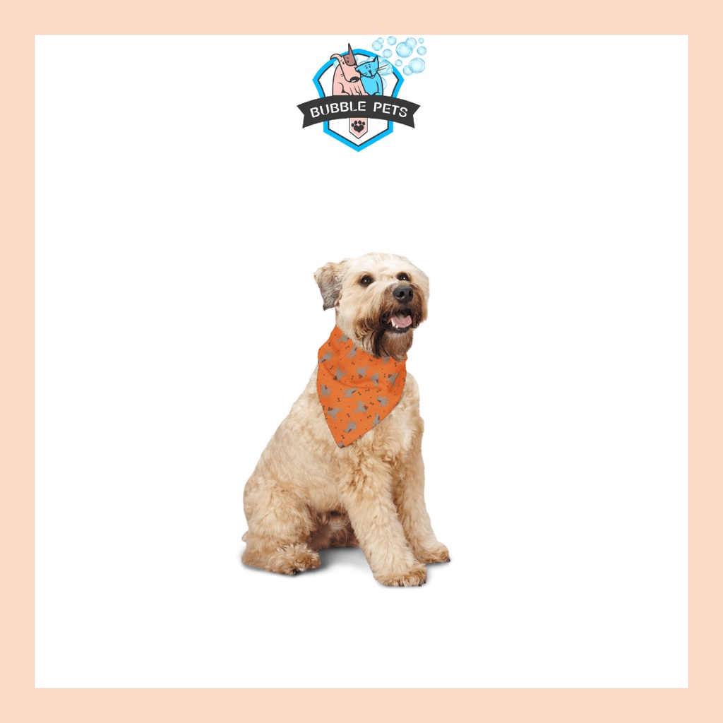 Insect Shield Paisley Flea & Tick Repellent Bandana for Dogs (Orange