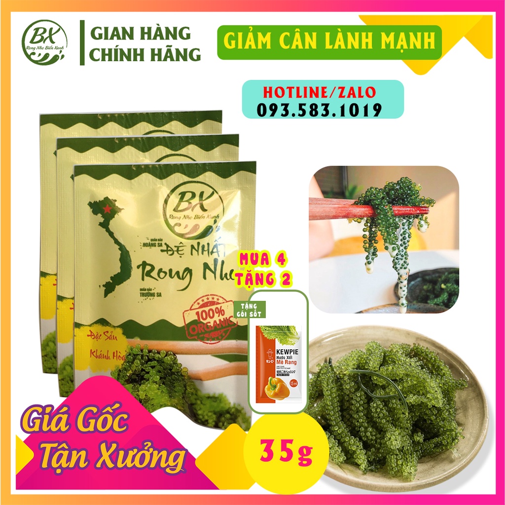 Sea Grape Seaweed Split Green Seawater Blooms Fresh Seaweed Equivalent