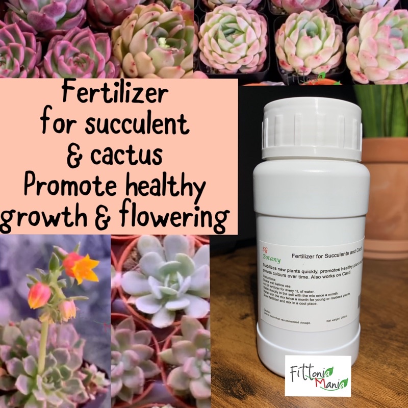 🌳In Stock🌳Fertilizer for Succulents. Fertilizer for Cactus 200ml