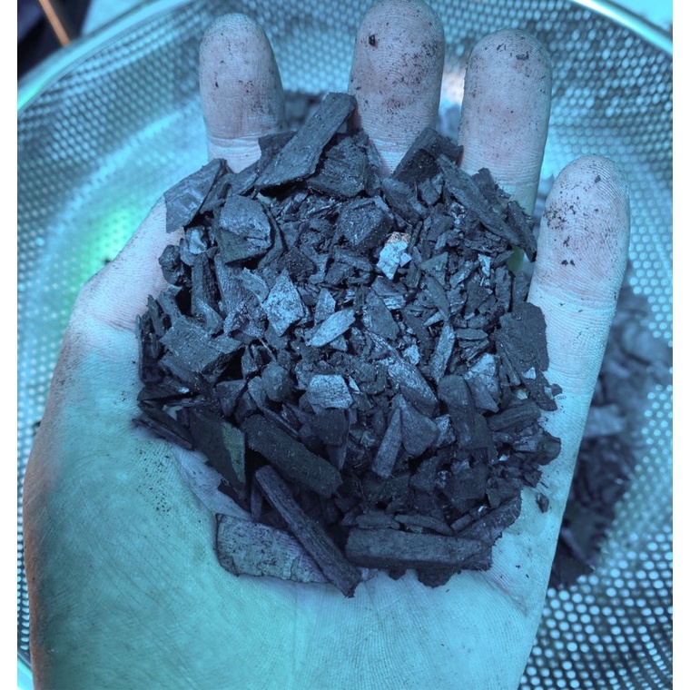 Charcoal Chip 1kg (Small chips) Shopee Singapore