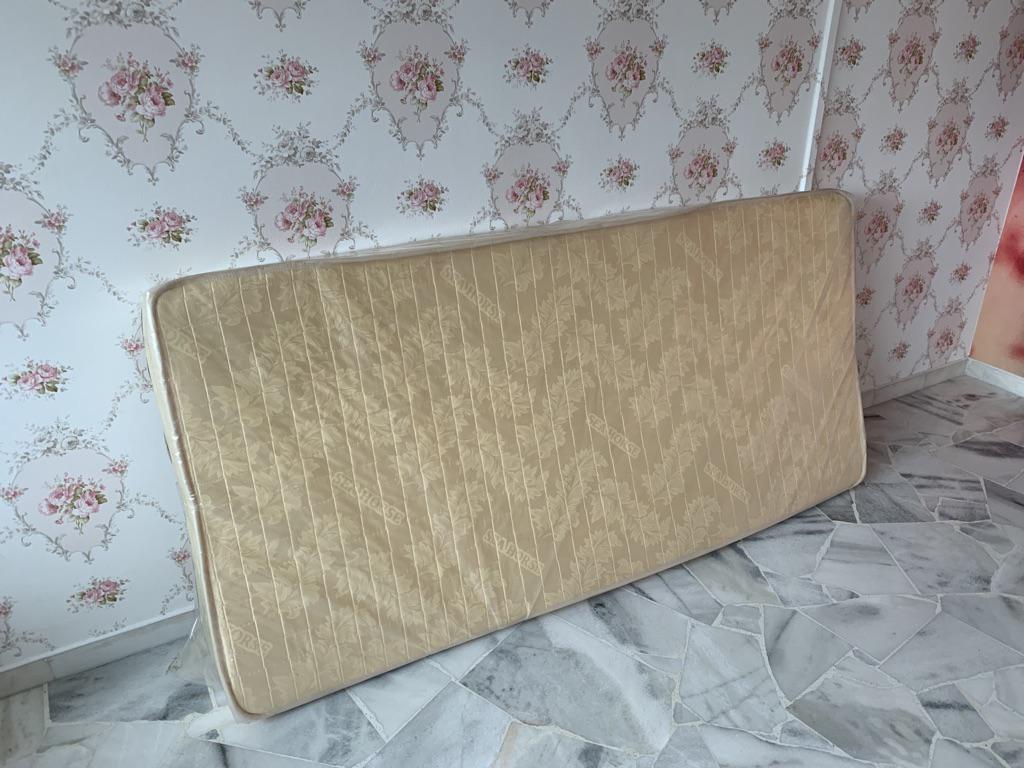 Seahorse 4 inches Foam Mattress with Free Delivery Shopee Singapore