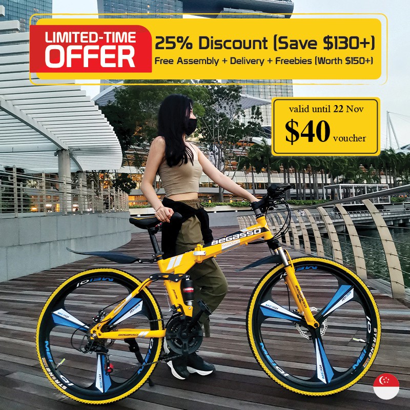 Begasso Branded Foldable Mountain Bike w Disc Brake 21 Speed [26/24