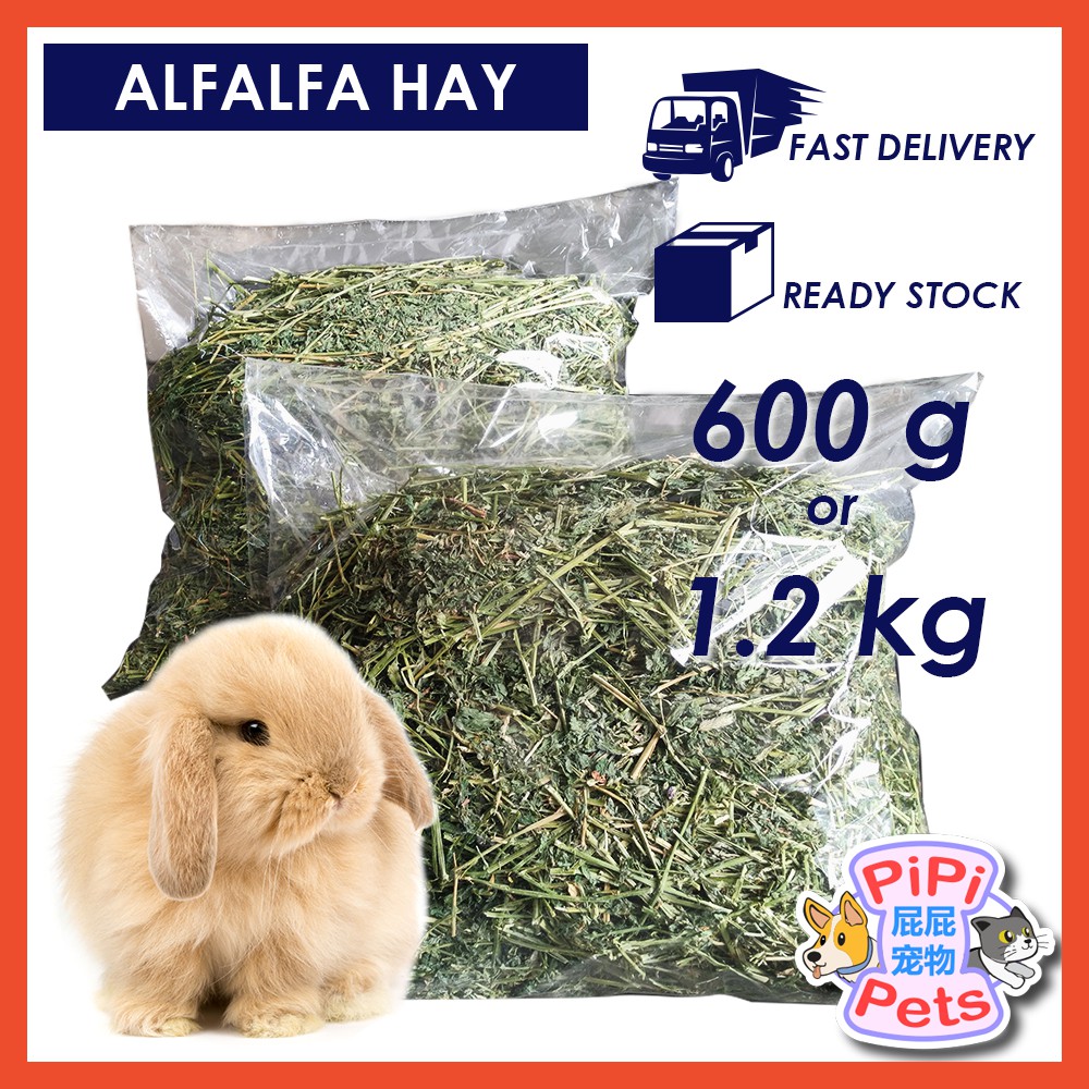 Alfalfa Hay, Dried Natural Alfalfa Hay For Rabbits, Guinea Pigs