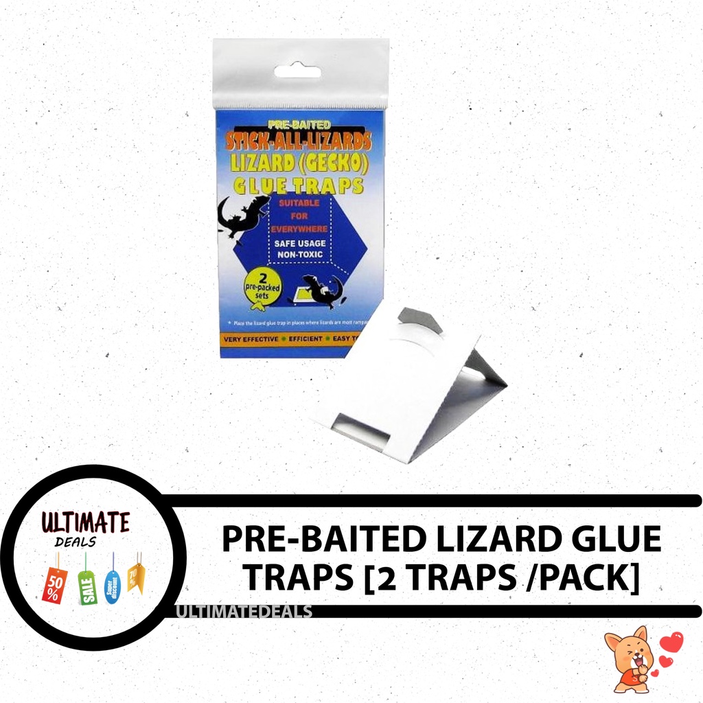 STICK ALL LIZARDS LIZARD(GECKO) GLUE TRAPS 3D Trap (Housetype