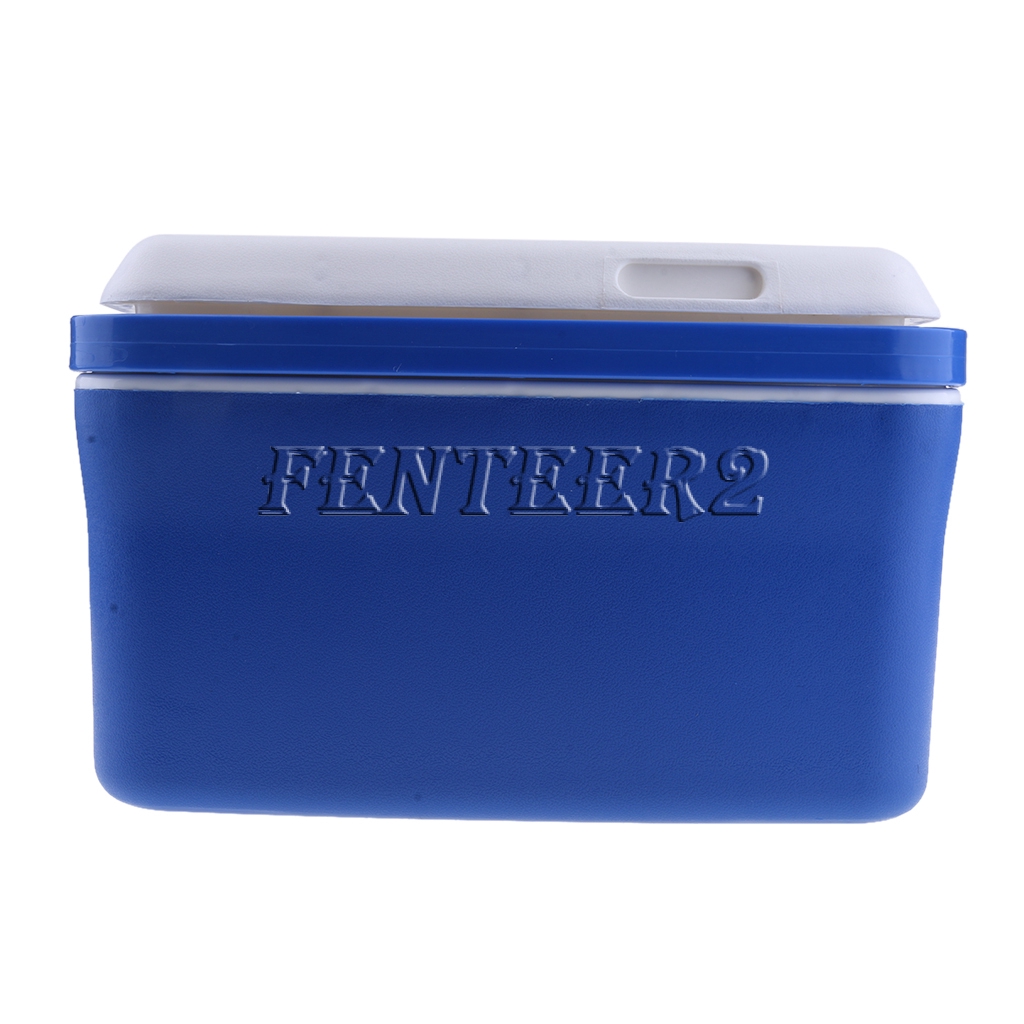 Electric Ice Cooler Box Sante Blog