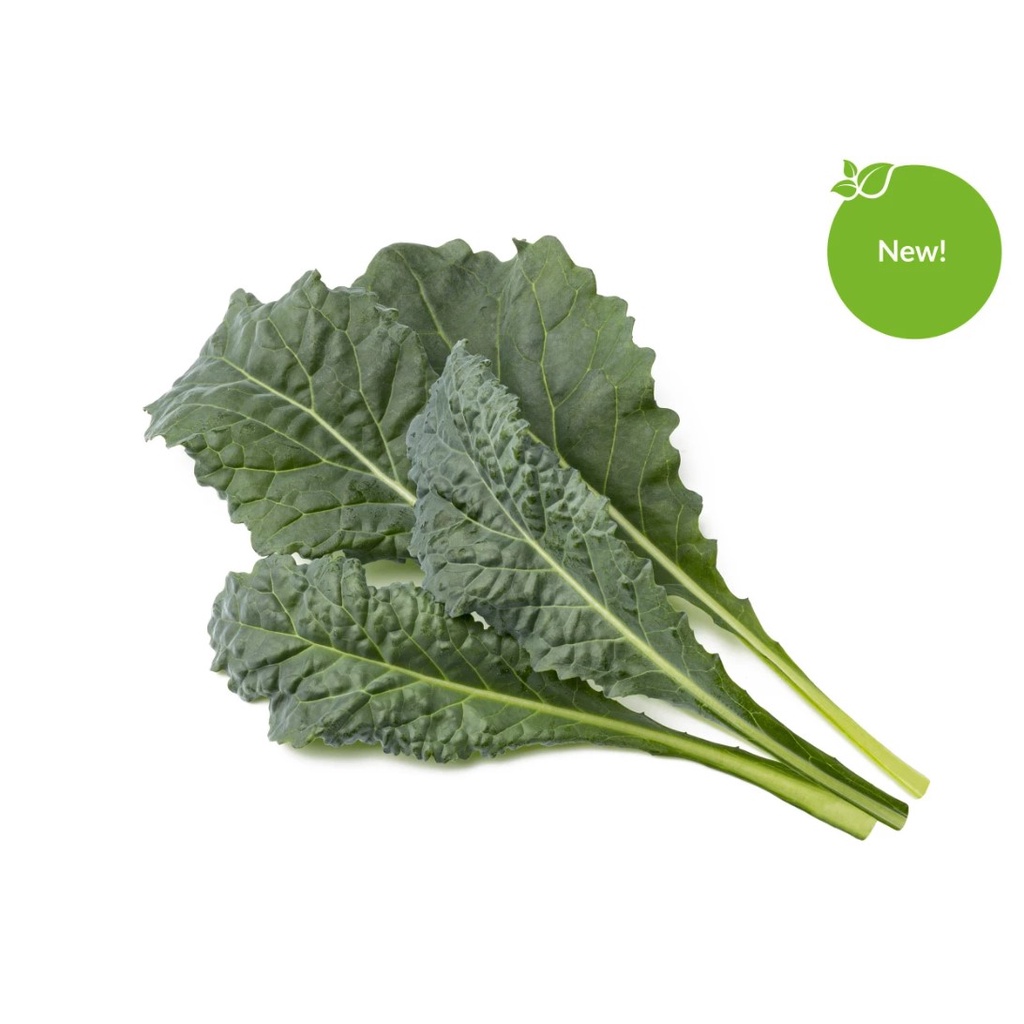 Click and Grow Italian Kale Plant Pods refill 3pack Shopee Singapore