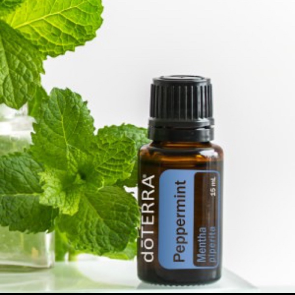 Doterra peppermint Shopee Singapore