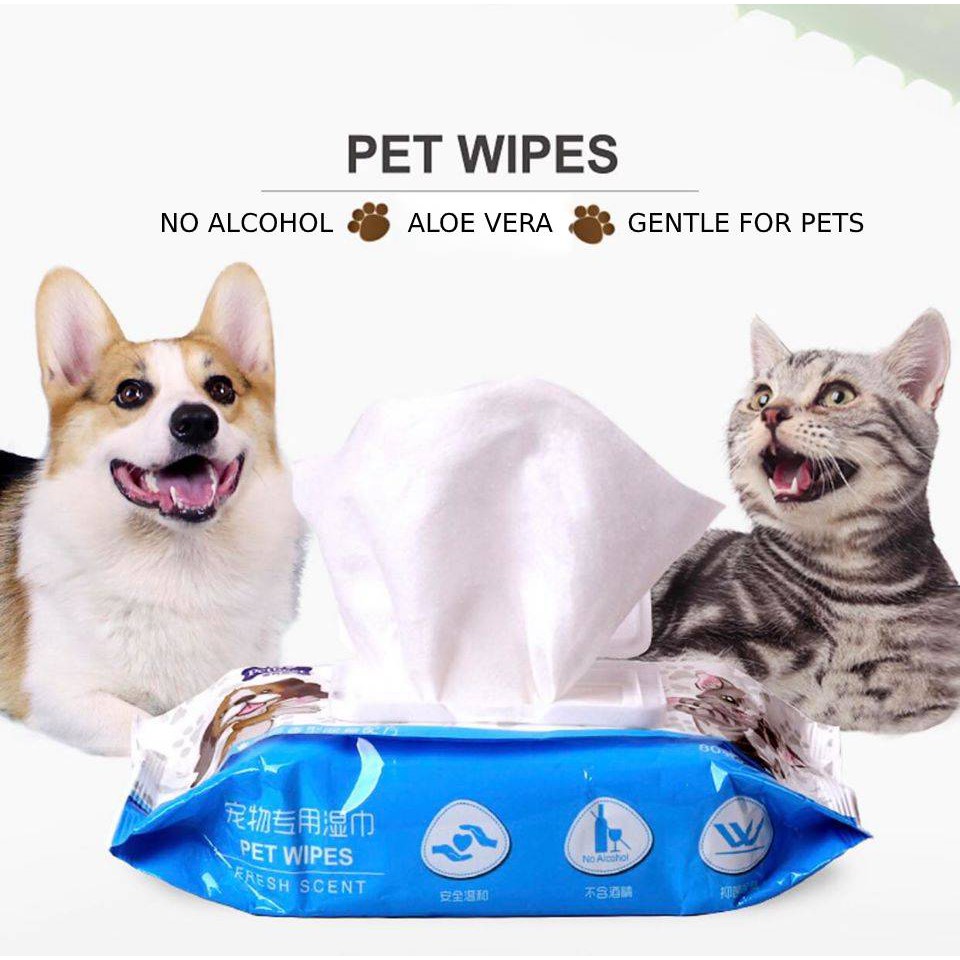 How To Make Dog Wipes