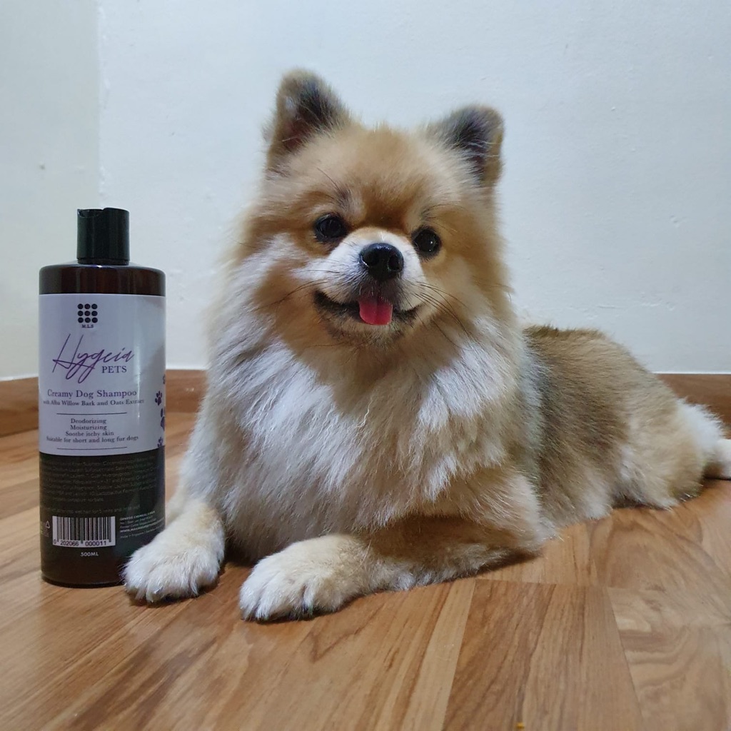 Is White Willow Bark Safe For Dogs