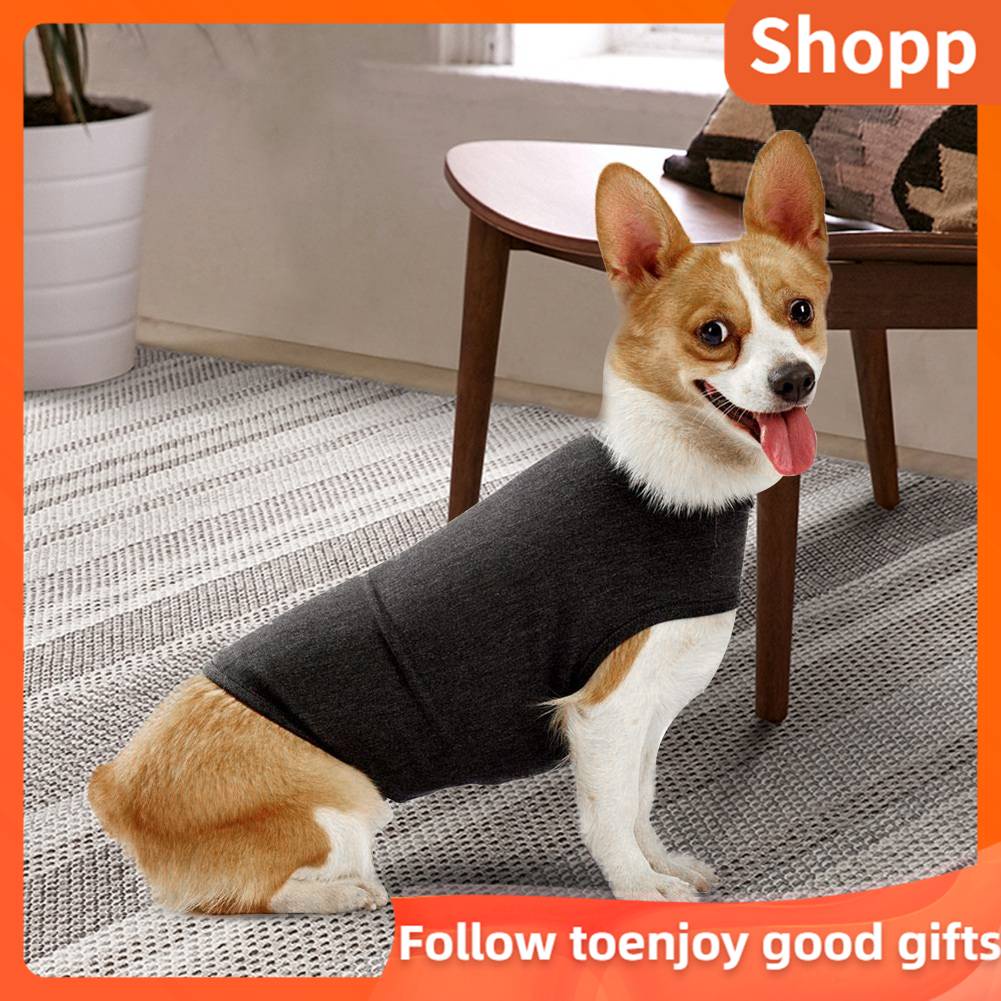 How Long Should You Leave A Thundershirt On A Dog