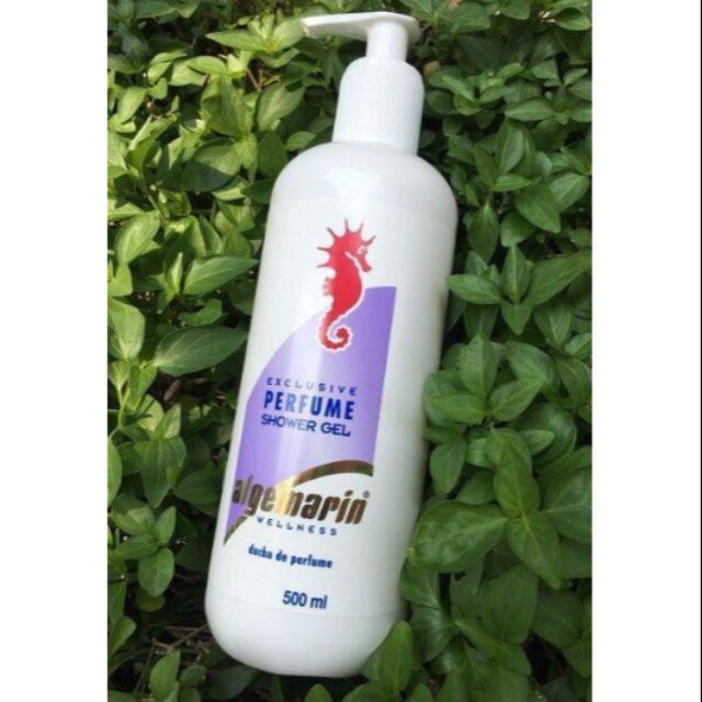 German Seahorse Shower Gel 500ml Shopee Singapore