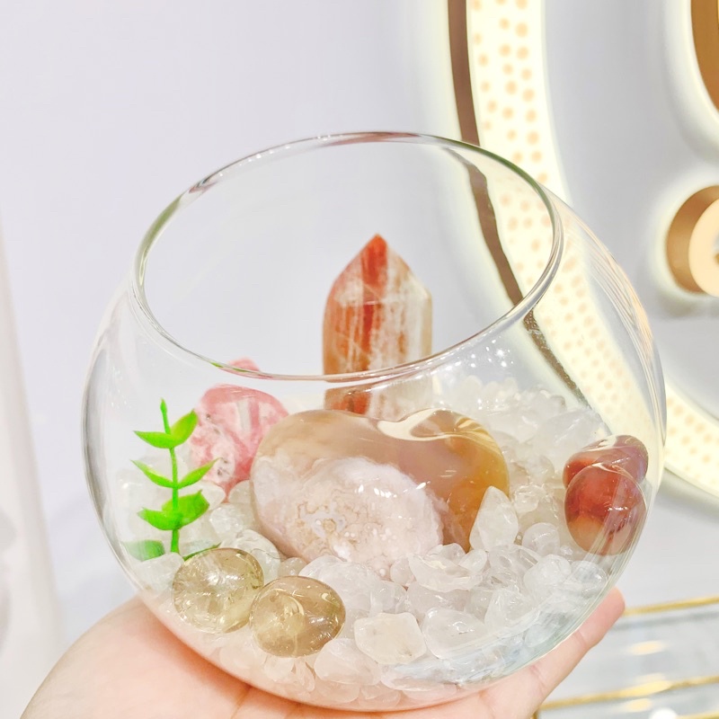 fish bowl Prices and Deals Feb 2023 Shopee Singapore