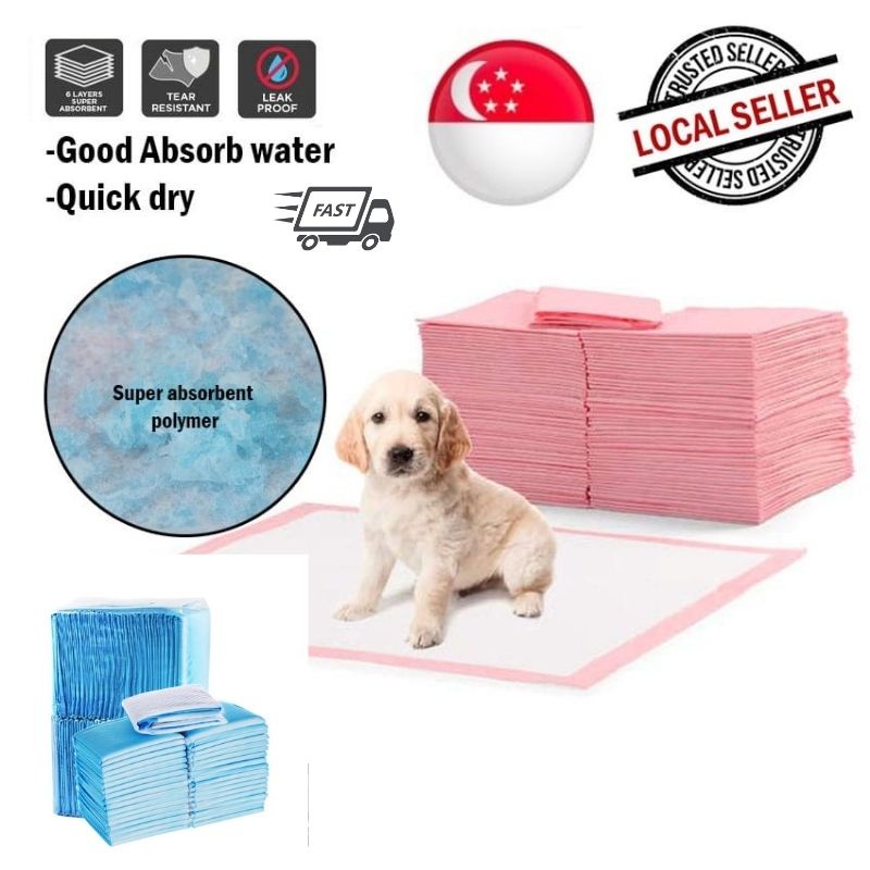 Are Dog Diapers Good For Training