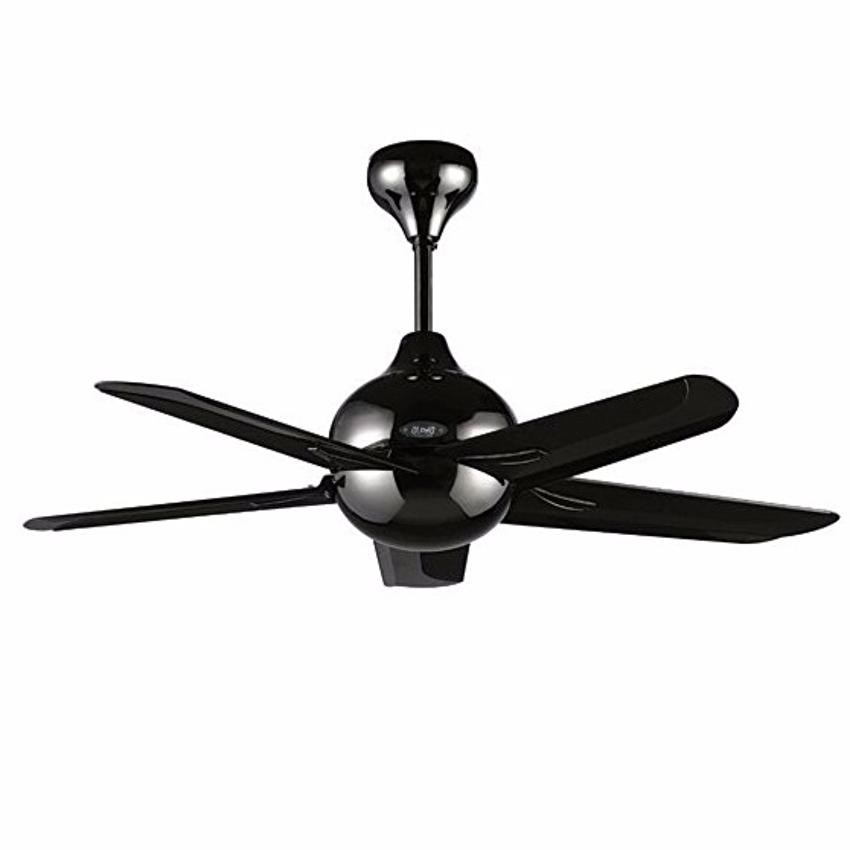 Ceiling Fan Light Thermal Fuse Shelly Lighting