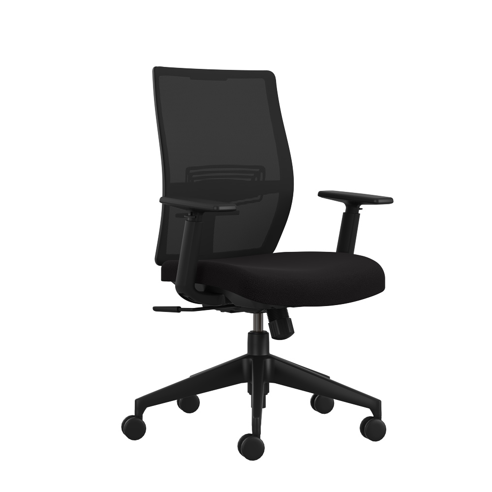 Haworth Aloha Easy Lite Ergonomic Office Chair (Black) Shopee Singapore