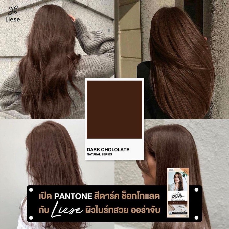 Liese Bubble Haircolor Dark Chocolate of Natural Series that will help
