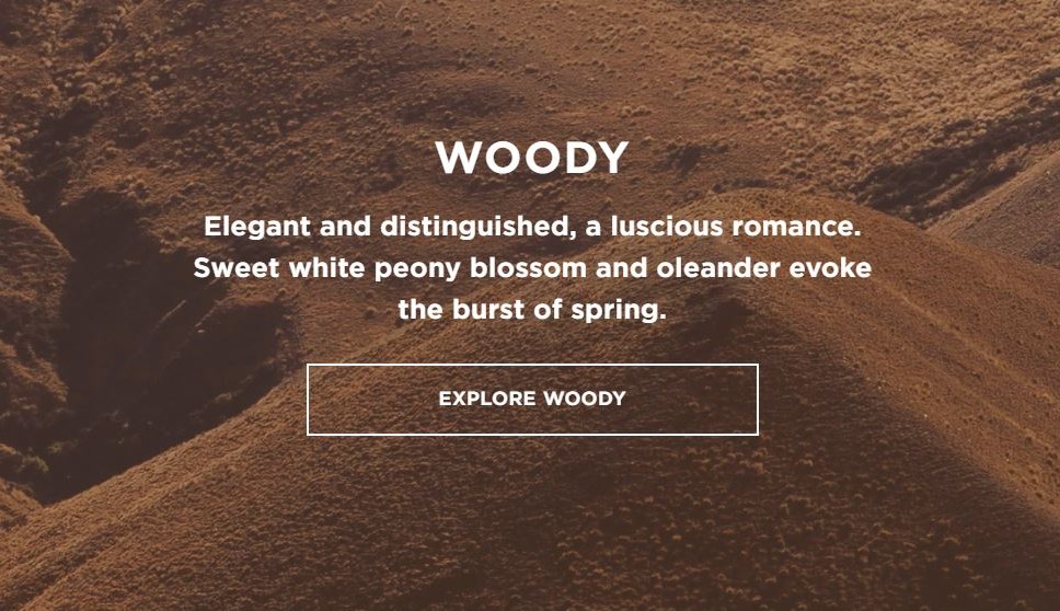 Ecoya Official Store, Online Shop Aug 2022 Shopee Singapore