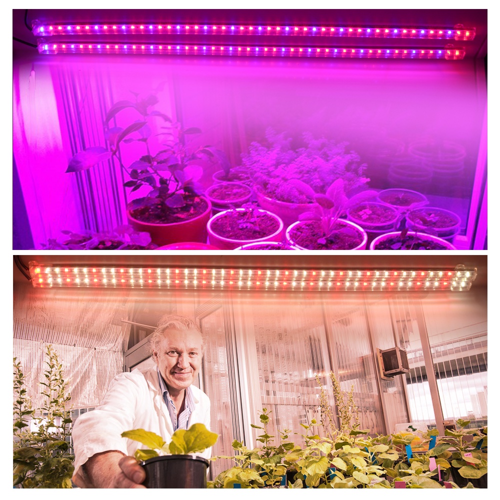 Tranyton Lighting LED Grow Light Full Spectrum DC5V USB Indoor Plants