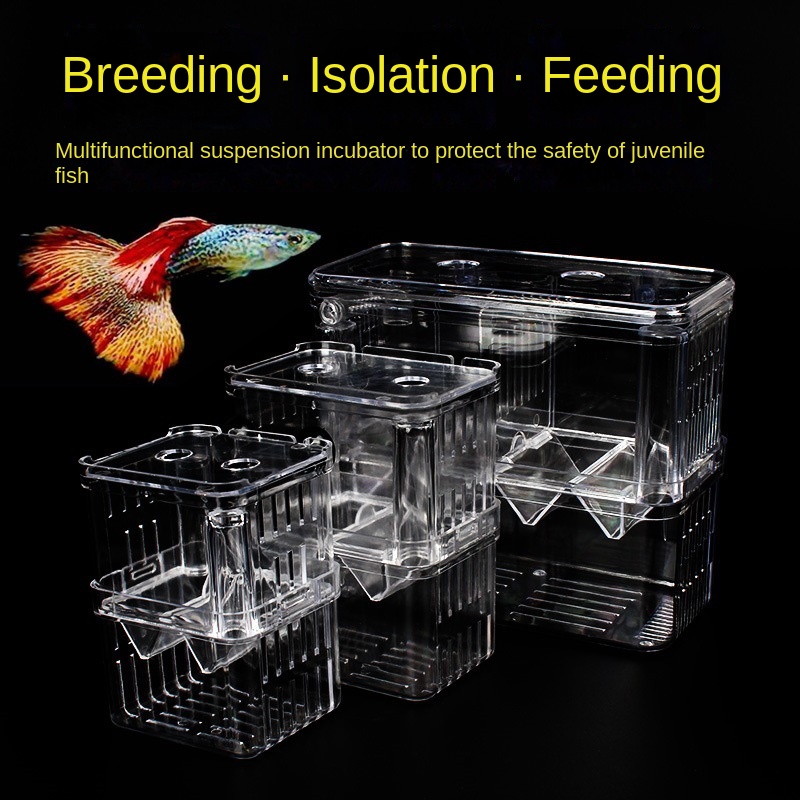 Fish tank acrylic guppy breeding box isolation box extralarge spawning
