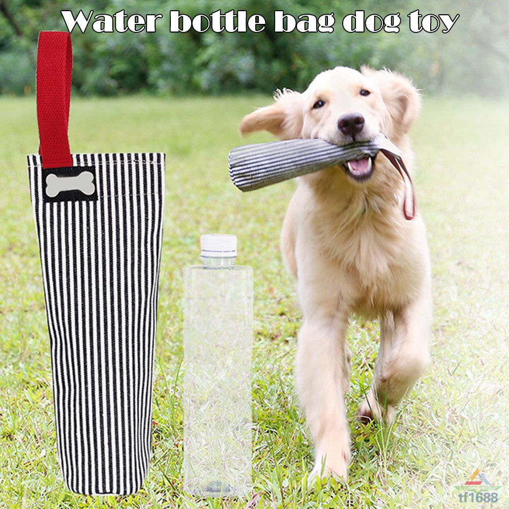 Are Plastic Water Bottles Safe For Dogs To Chew