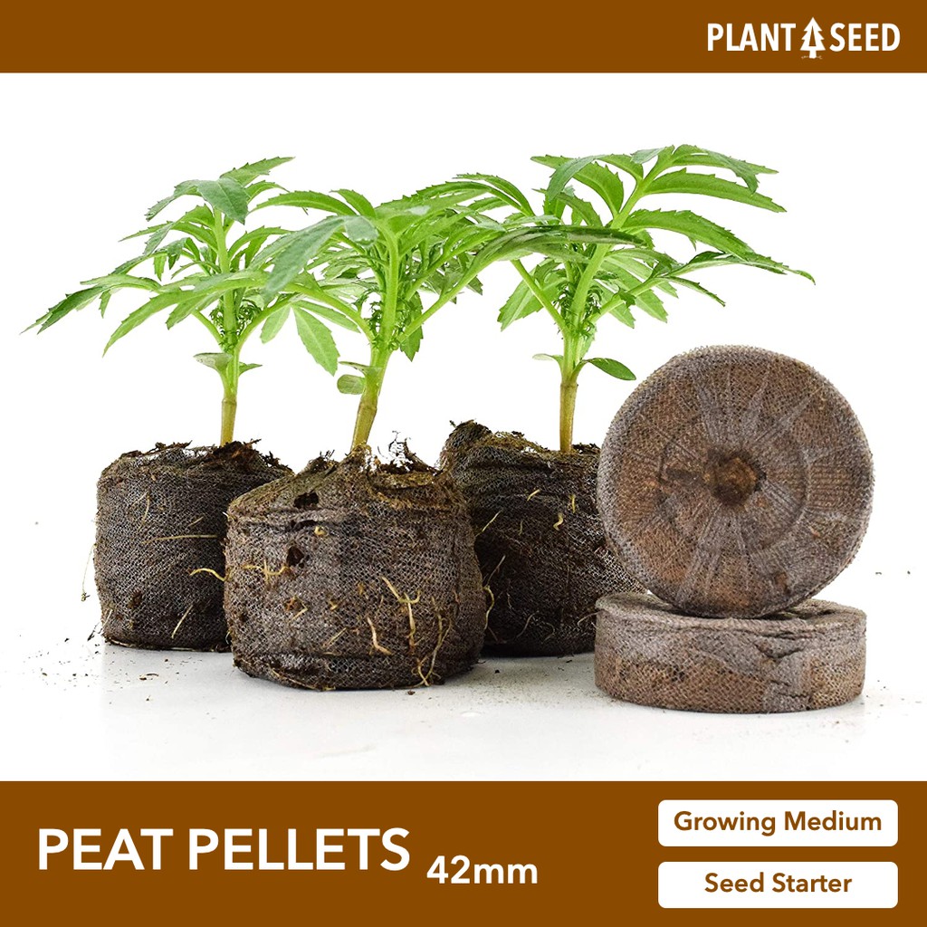 Peat Pellets 42mm [Seed Starter/Growing Medium] Local SG Seller! Fast