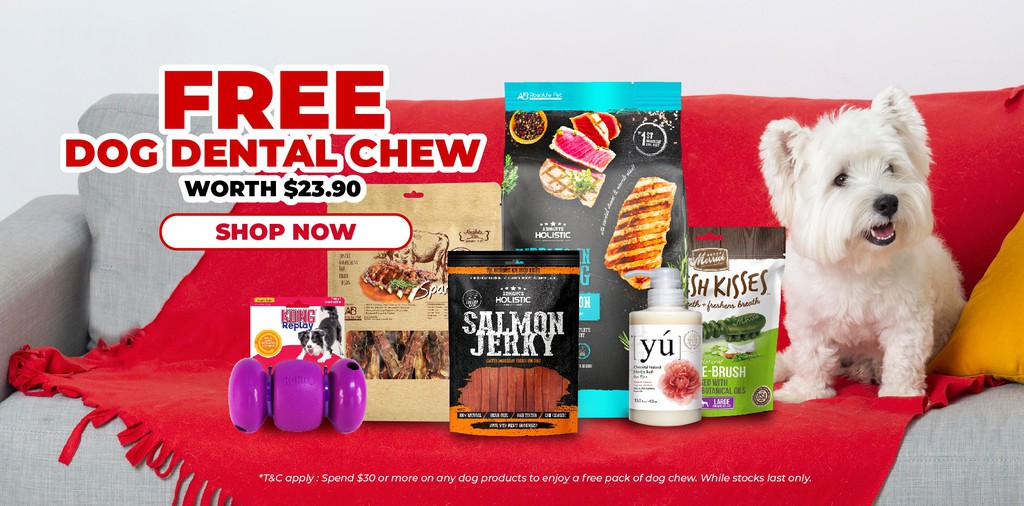 B2K Pet Care Official Store, Online Shop Shopee Singapore