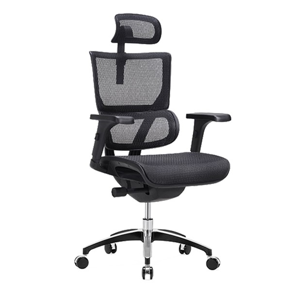 Vision Ergonomic Office Chair (Self Setup) Shopee Singapore