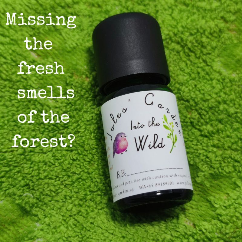 Into the wild (Essential oil for diffuser, helps calm an anxious mind
