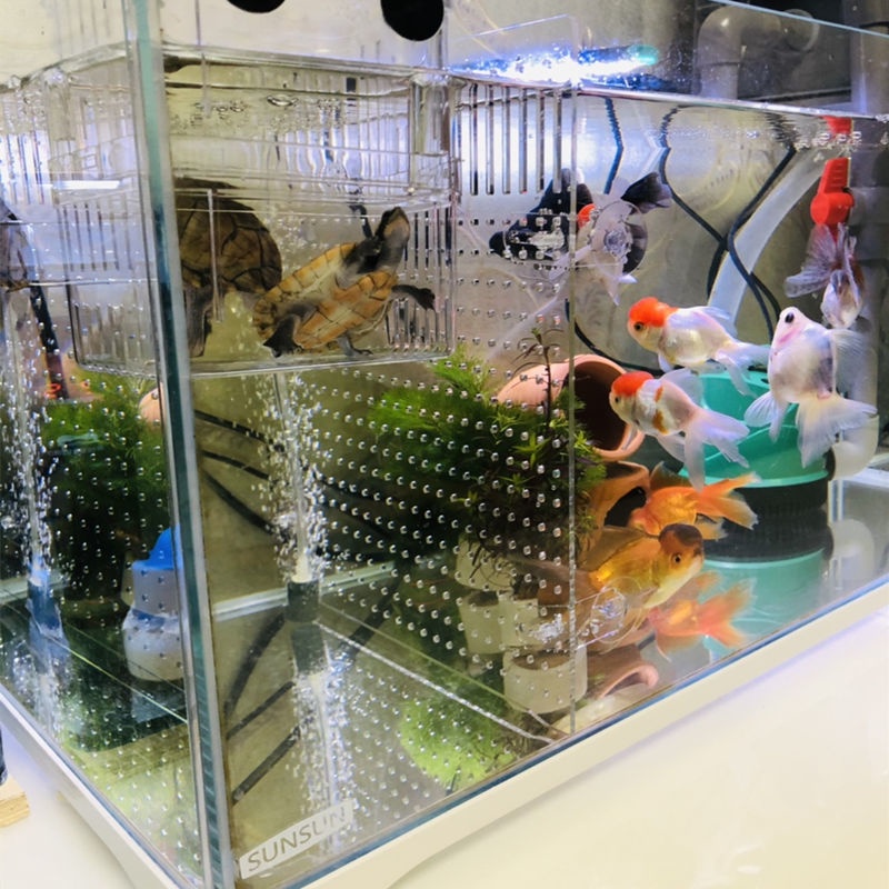 Fish Tank Isolation Board Customized Transparent Acrylic Cover Mesh