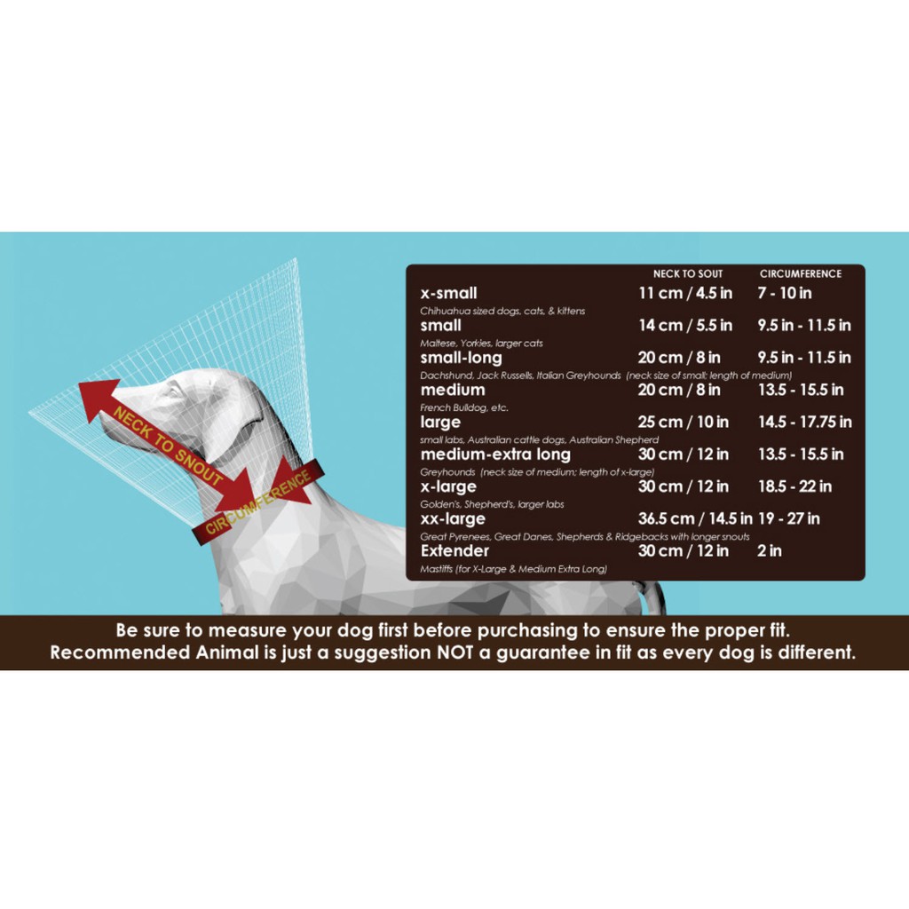 What Size Cone Should I Get For My Dog