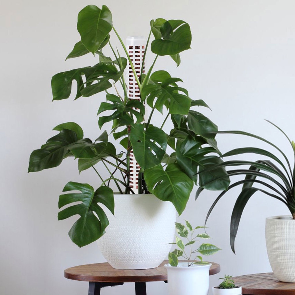 [herebuy] 1 Set Plant Poles Stackable Monstera Houseplant Connector