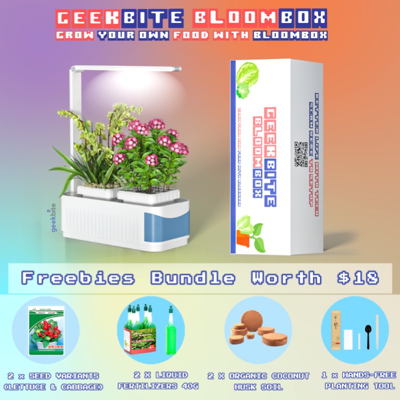 15 Best Hydroponic Systems in Singapore [2021] Best In Singapore