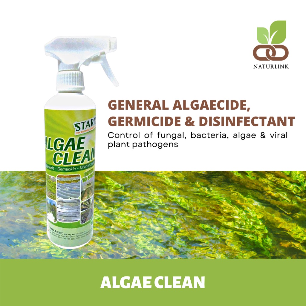 STARX ALGAECLEAN Algaecide Germicide Disinfectant Ready to Spray