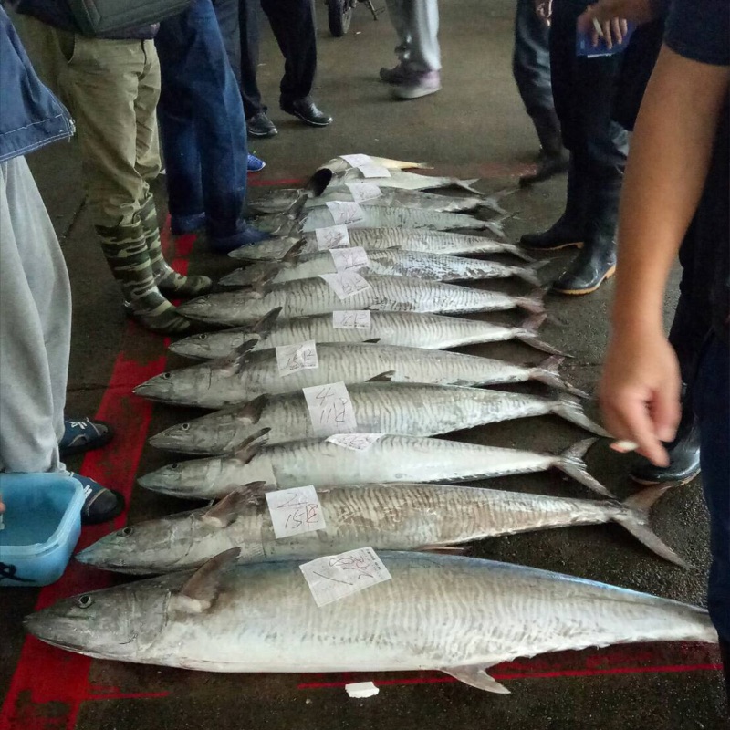 澎湖土魠魚的價格推薦 2021年9月 比價比個夠BigGo