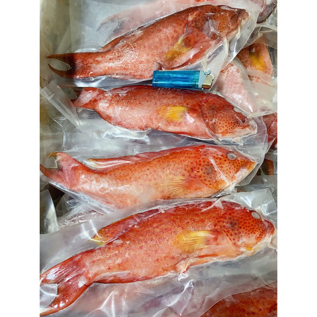 紅條魚的價格推薦 2021年3月 比價比個夠BigGo