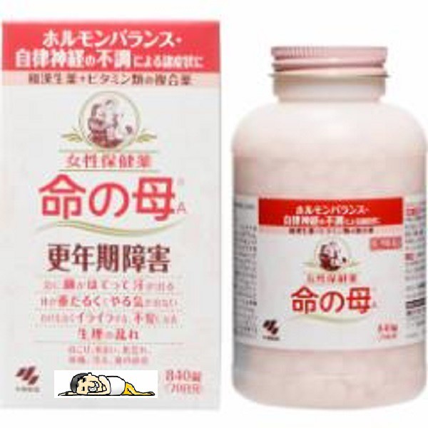 防水靴 推薦