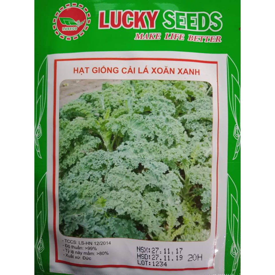 Hạt Giống Rau Kale ( cải xoăn xanh 20 hạt ) Shopee Việt Nam