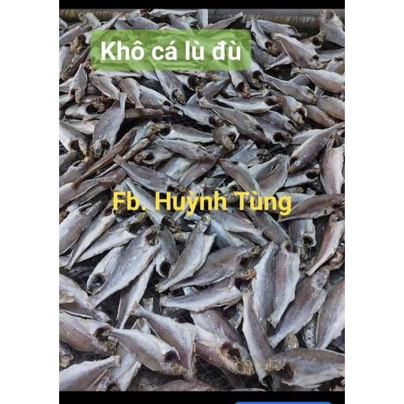 khô cá lù đù (0.5kg) Shopee Việt Nam