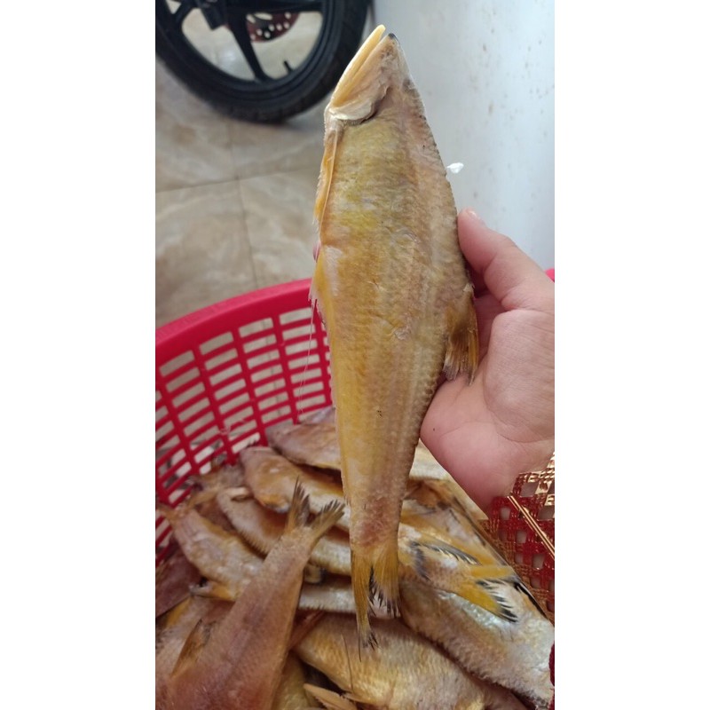 khô cá lẹp vàng Shopee Việt Nam